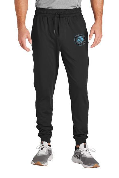 IBH Stretch Joggers